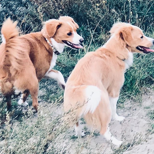 Fiebie en zusje Pien 💗💗 Fiebie en zusje Pien 💗💗