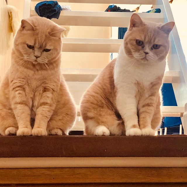 Jet en Koosje Veenendaal. Jet en Koosje Veenendaal.