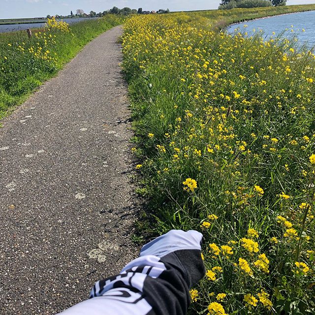 Fris, dus lange mouwtjes maar man, wat kan ik het iedereen aanraden deze dagen de polder in te gaan. Gele bloemen overal, reigers die een stukje met me meevlogen, kop in de wind, kop leeg, trappen maar. #cycling #bikelife Fris, dus lange mouwtjes maar man, wat kan ik het iedereen aanraden deze dagen de polder in te gaan. Gele bloemen overal, reigers die een stukje met me meevlogen, kop in de wind, kop leeg, trappen maar. #cycling #bikelife