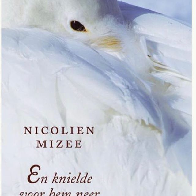 Hele nacht doorgelezen, zo prachtig ❤️. Dank voor je tip @jannekedebijl #enknieldevoorhemneer #nicolienmizee Hele nacht doorgelezen, zo prachtig ❤️. Dank voor je tip @jannekedebijl #enknieldevoorhemneer #nicolienmizee